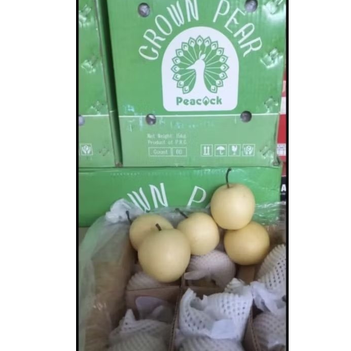 

Pear Pir Century 60 Crown Pear 16 kg 1 dus Per box Fresh Jogja