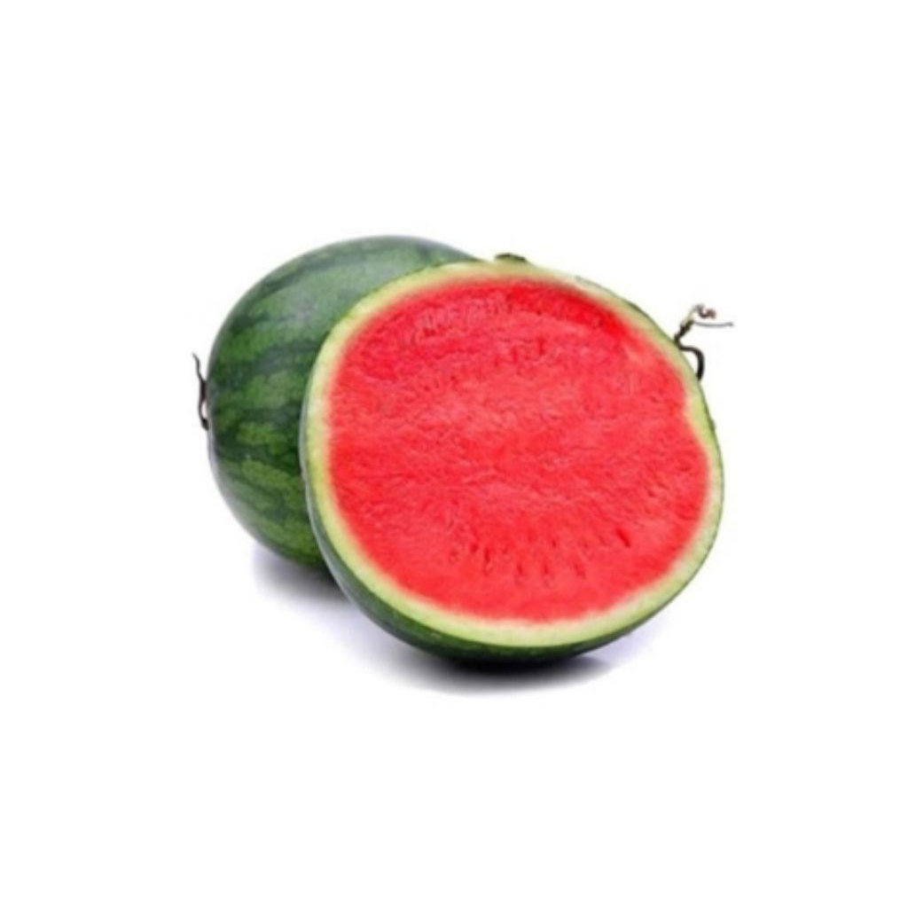 

semangka merah tanpa biji