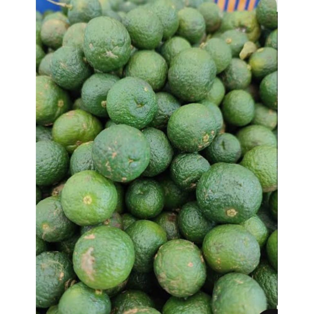 

jeruk limo ukuran besar 1kg fresh di petik langsung dari petani