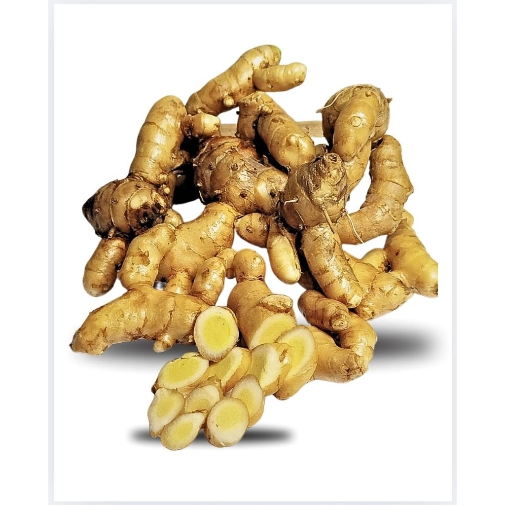 

Kunyit Putih Segar Bersih | Temu Putih 1Kg Organik Herbal Alami Obat Pencernaan