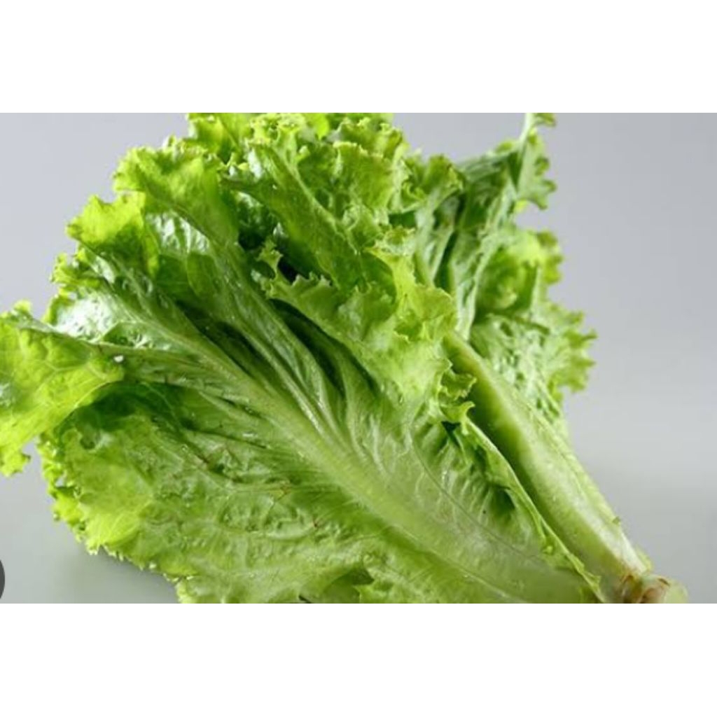 

slada kriting frees 500g