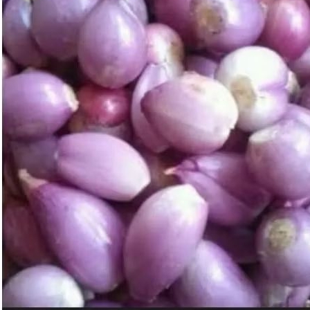 

Bawang Merah Kating Kupas 250gr