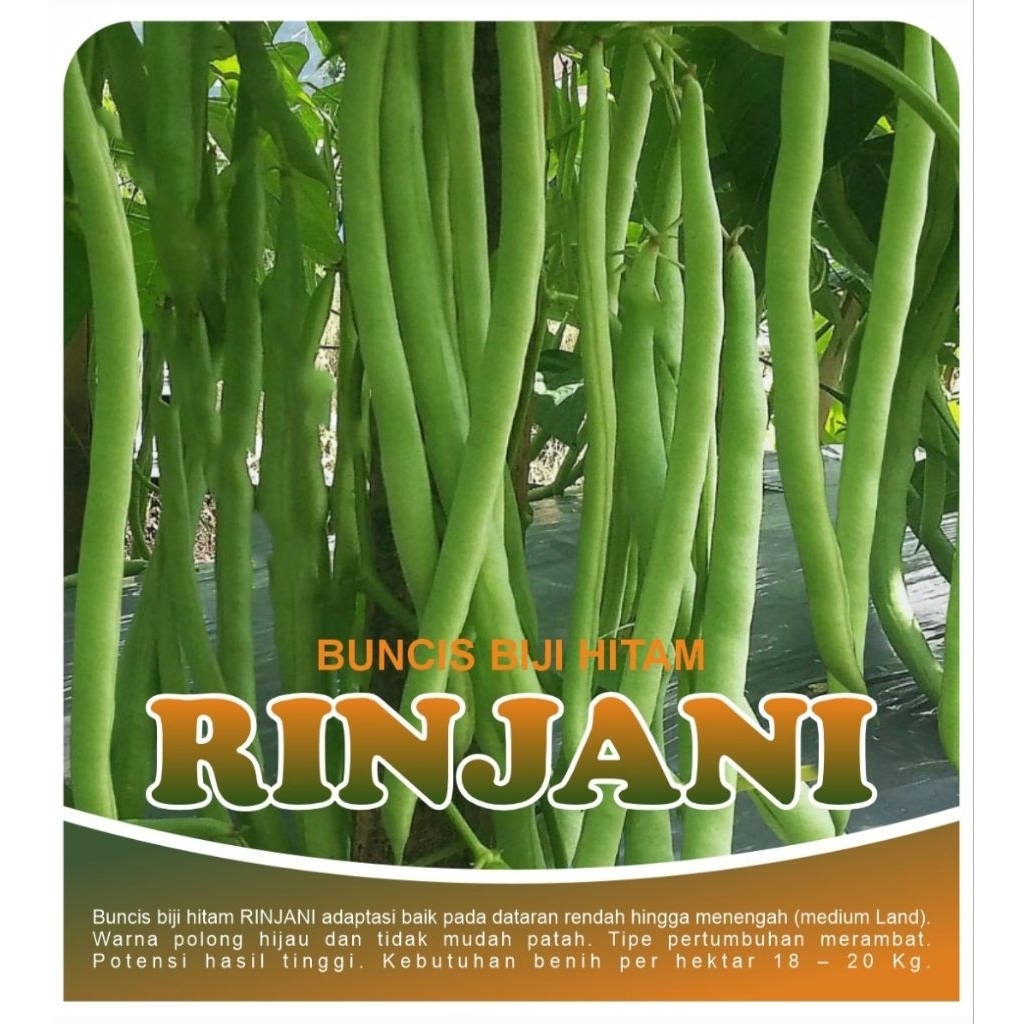 Buncis RINJANI @100 Gram