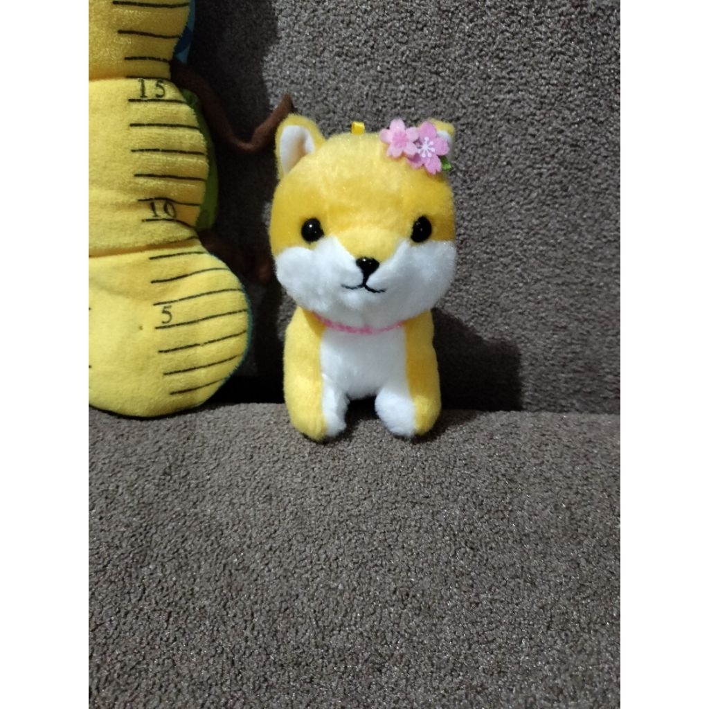 ganci guguk amuse