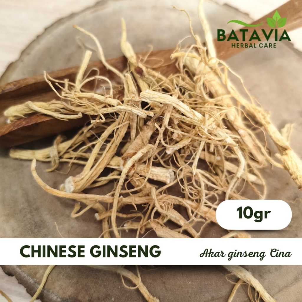 

Akar Ginseng Cina Yang Shen Su Chinese Ginseng Root Premium Herbs Time
