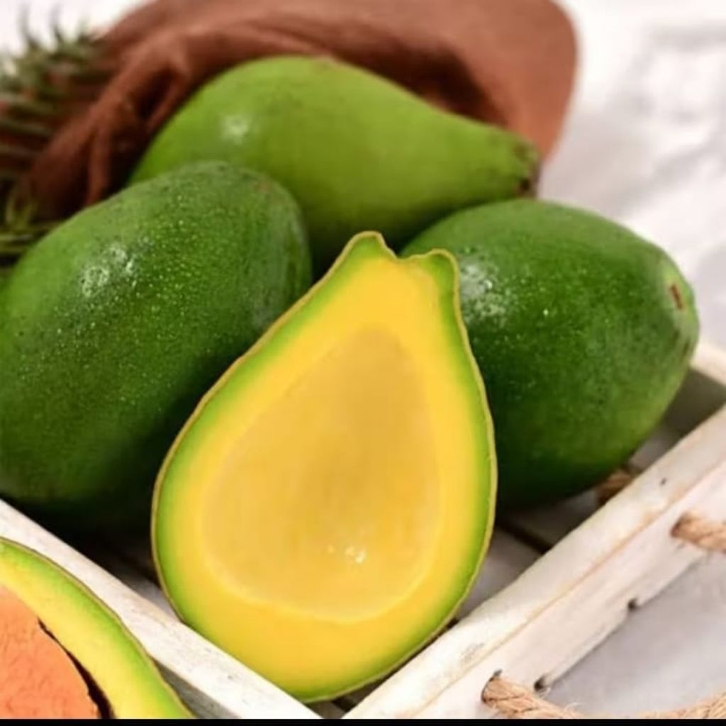 

Alpukat mentega tua sufer kuning 1kg isi 5-6-7 Gurih lezat super fresh