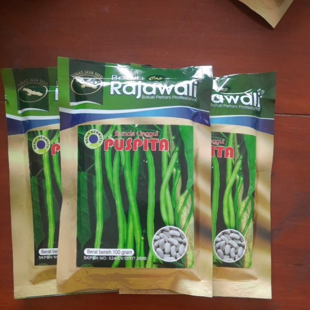 

buncis biji putih Puspita