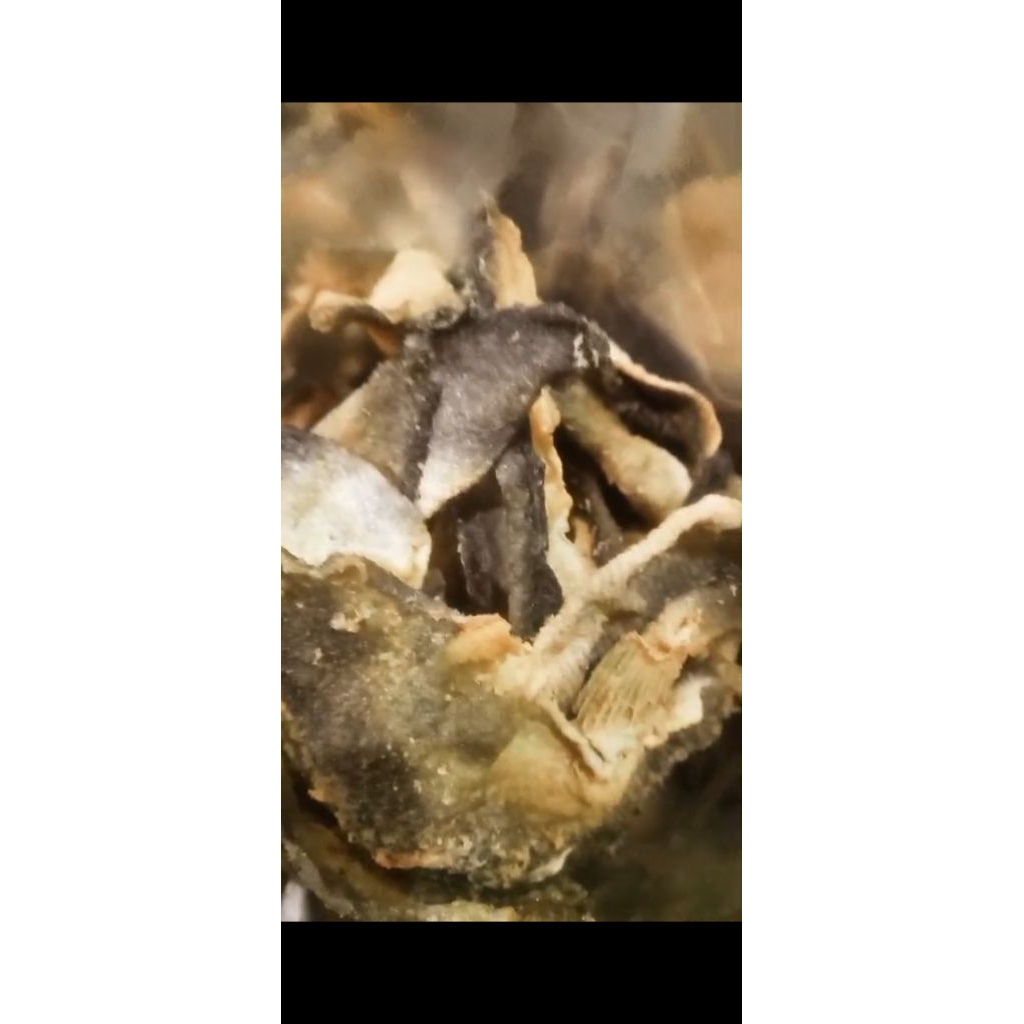 

aluman kripik kulit patin(super)