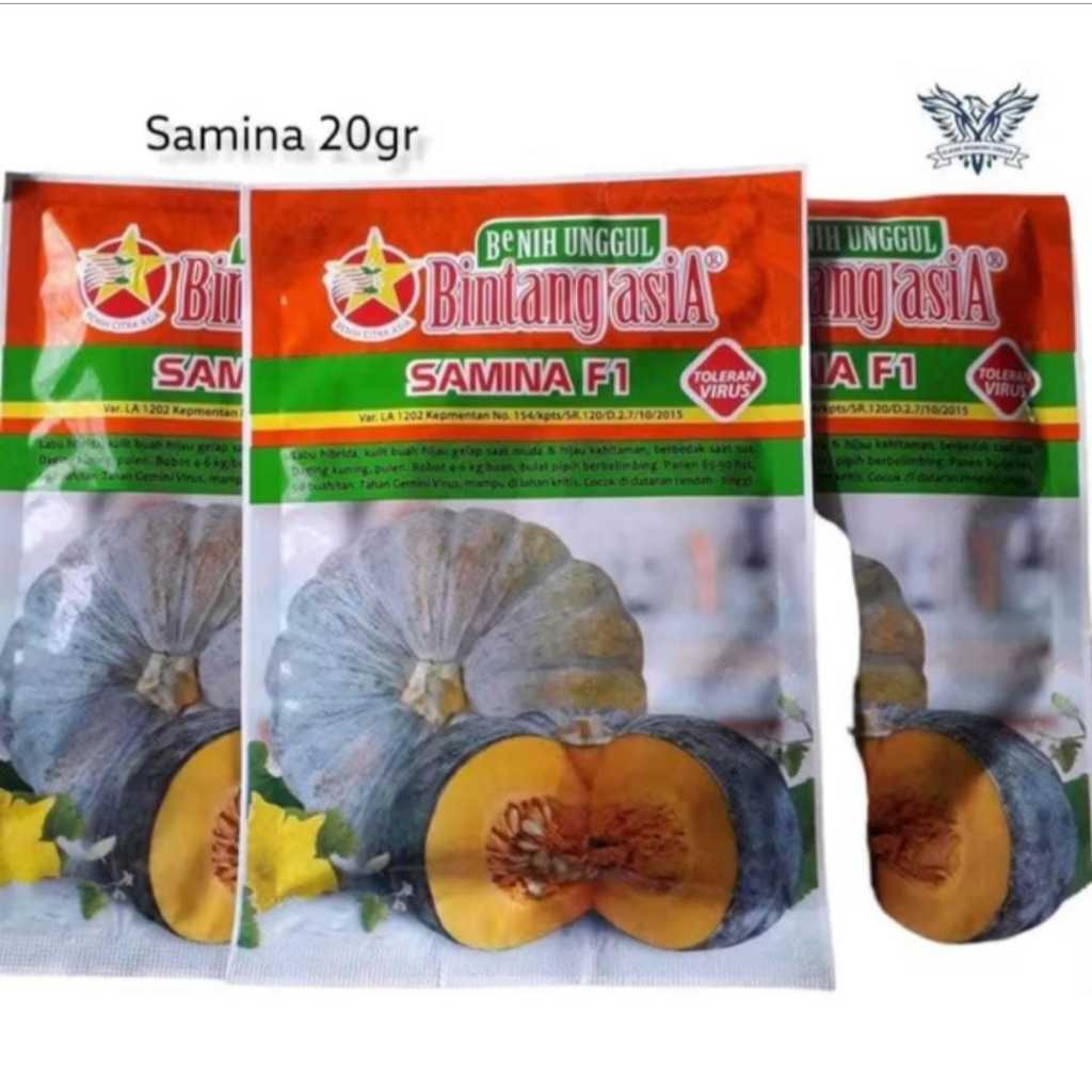Samina 20gr benih labu kuning Bintang Asia