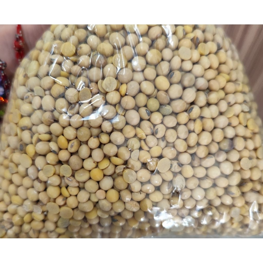 

Kacang Kedelai 250gr