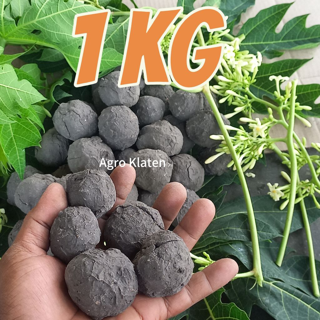 

Ampo Tanah Lempung Penghilang Rasa Pahit Daun Pepaya Murah