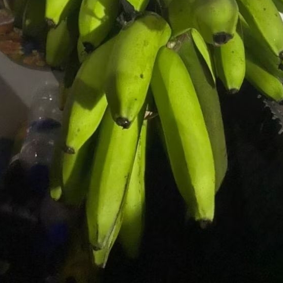 

Buah Pisang Mentah WR Ecr Pisang Bangkaulu