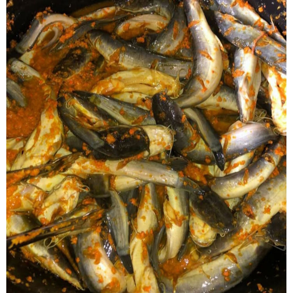 

LELE MARINASI bumbu kuning 1 Kg Fresh