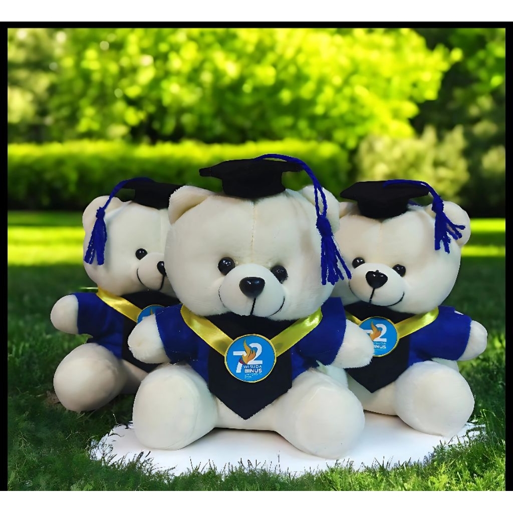 Boneka wisuda BINUS