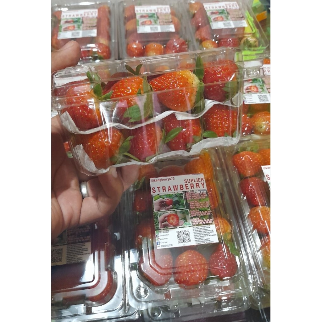 

STRAWBERRY FRESH MK 250gr TANPA LABEL