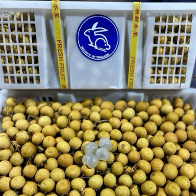 

KELENGKENG MADU 500gr/ KELENGKENG MURAH/KELENGKENG LONGAN IMPORT/KELENGKENG IMPORT/KELENGKENG BANGKOK/KELENGKENG SUPER/KELENGKENG MANIS