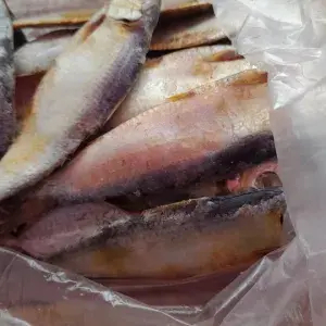 

Ikan Asin Tembang