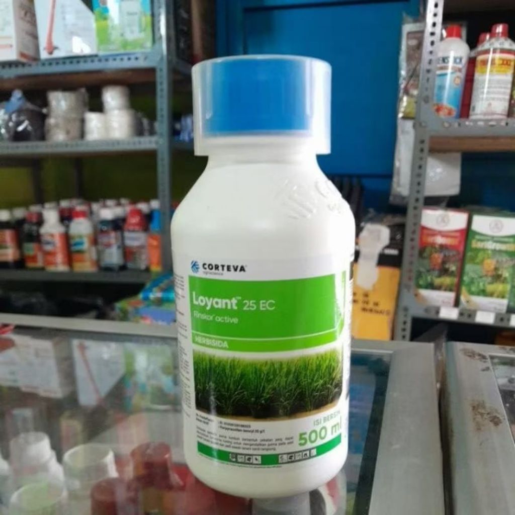 Loyan – Solusi Gulma Bersih, Tanaman Subur & Panen Maksimal.Herbisida loyant  25EC 500ml orginal100%