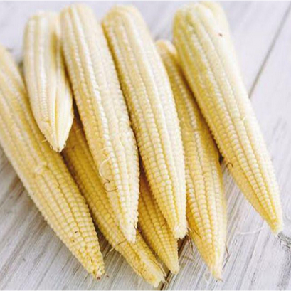 

Jagung semi 500gr-1kg | Jbp_Fresh