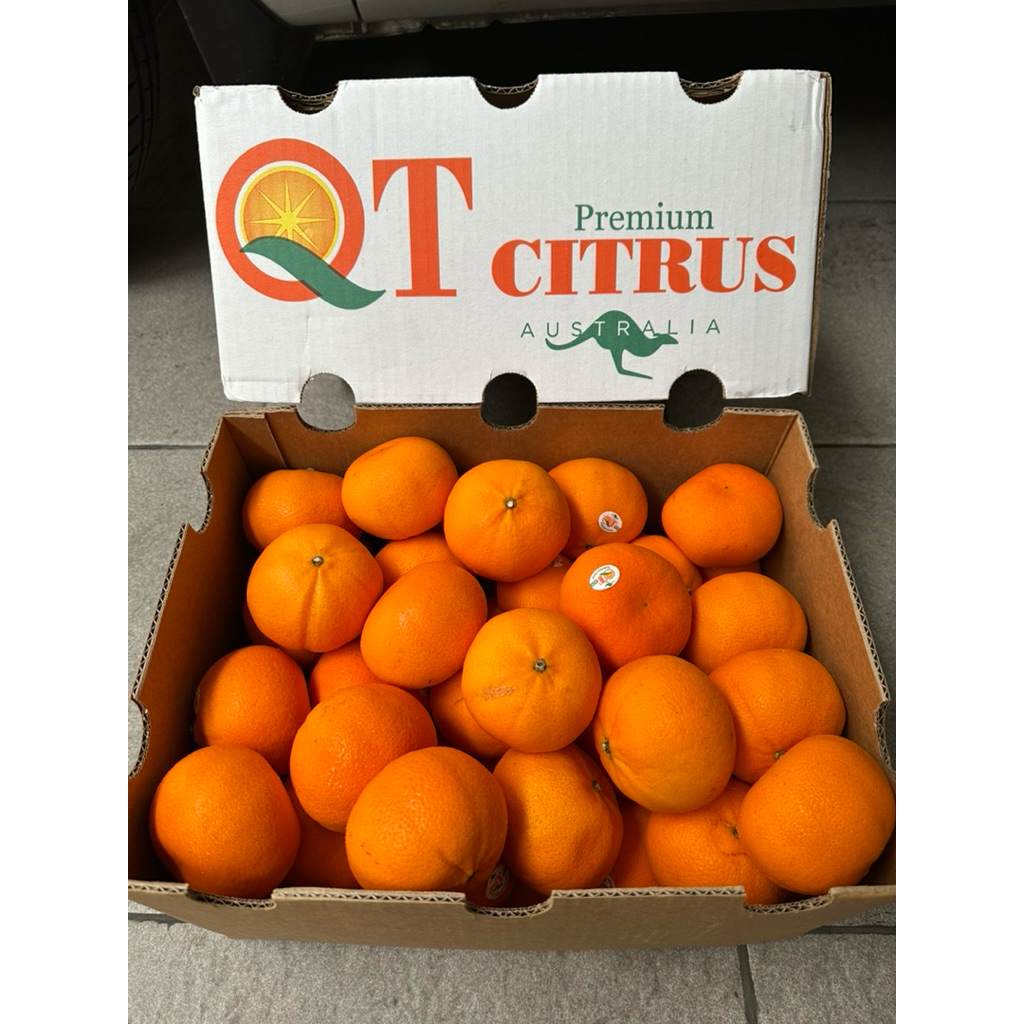 

Jeruk Murcot Honey Australia 1 Dus (9 Kg) Fresh Import