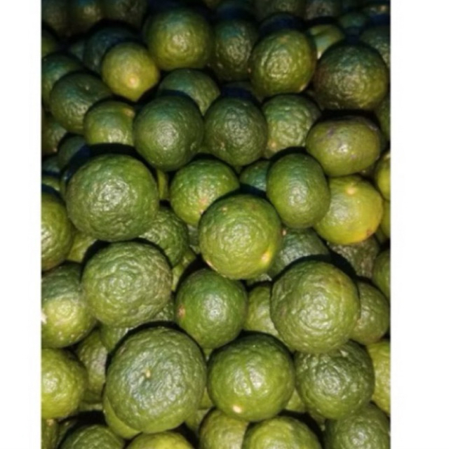 

Jeruk limau fresh 1 kg