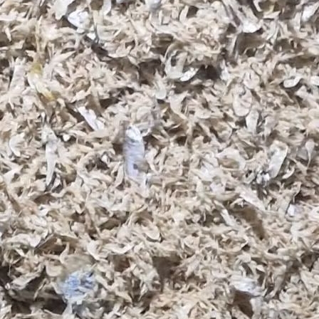 

Ebi Kering Kecil Asli Rasa Gurih Cocok untuk Masakan