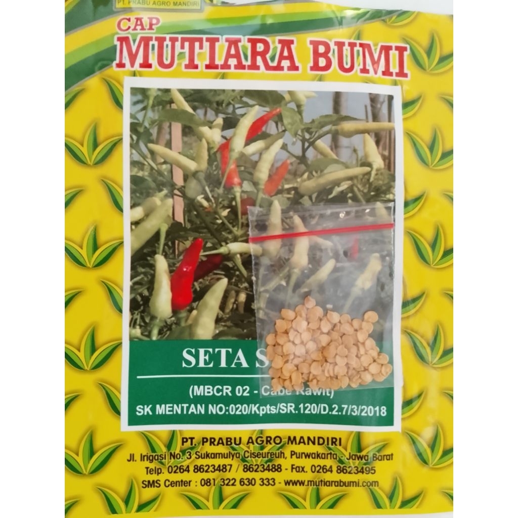 Bibit/benih Cabe Rawit SETA SUPER ecer