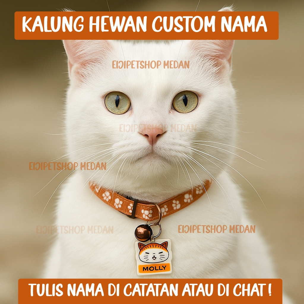 Kalung Kucing Custom Nama Kalung Kucing dengan Liontin Nama Kalung Custom Nama Kalung Anjing Kecil C