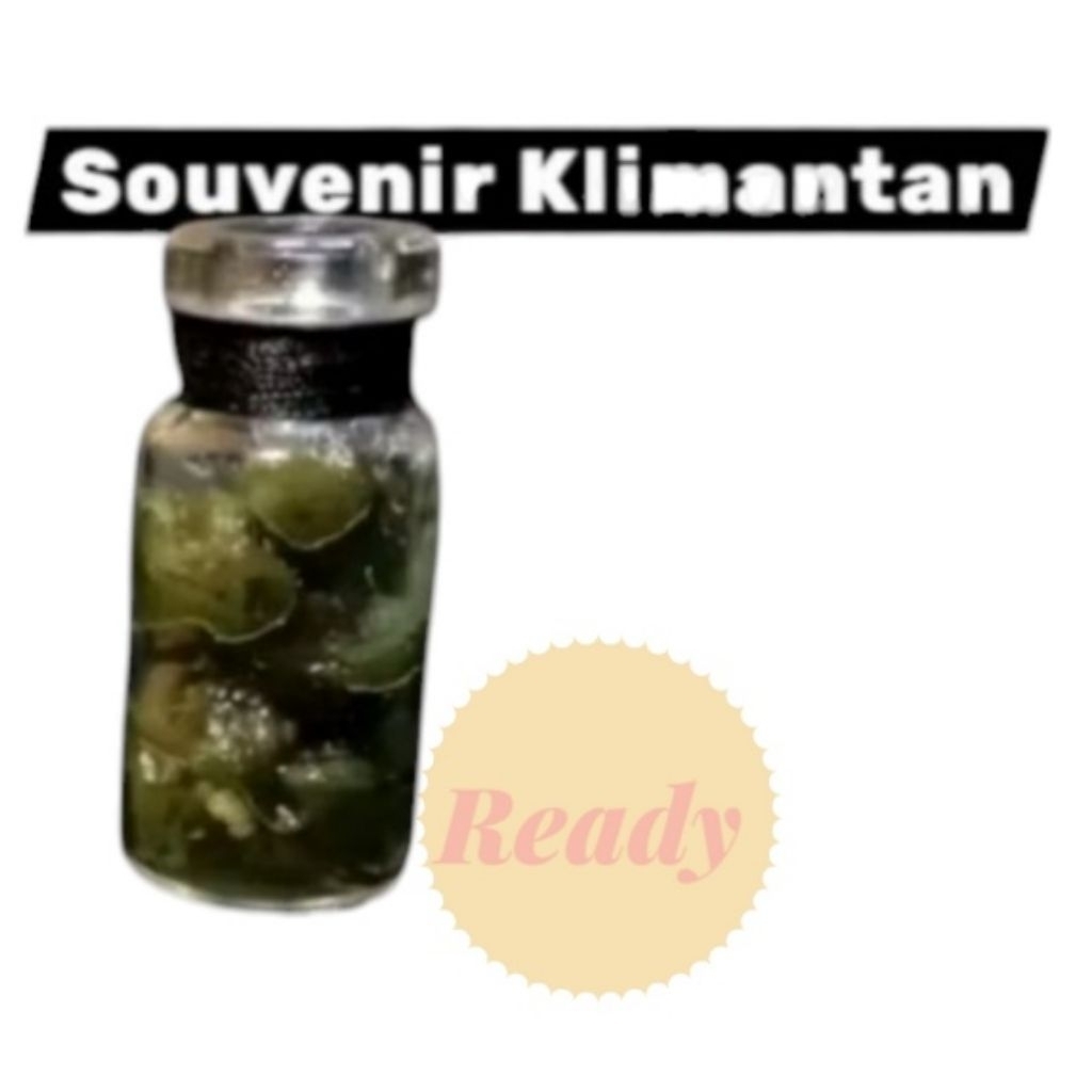 Koleksi Souvenir Khas Kalimantan Untalan 41