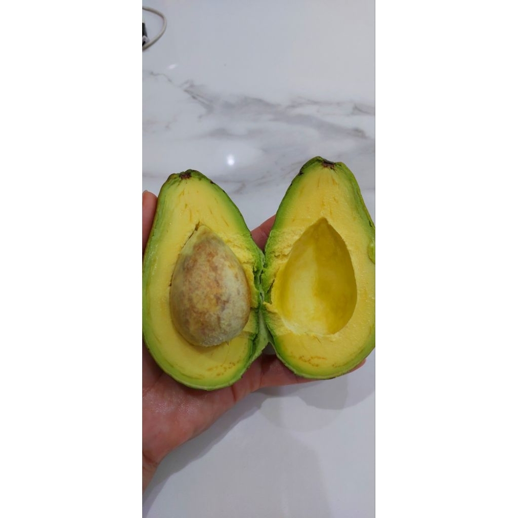 

Termurah alpukat samosir pilihan/alpukat mentega Medan