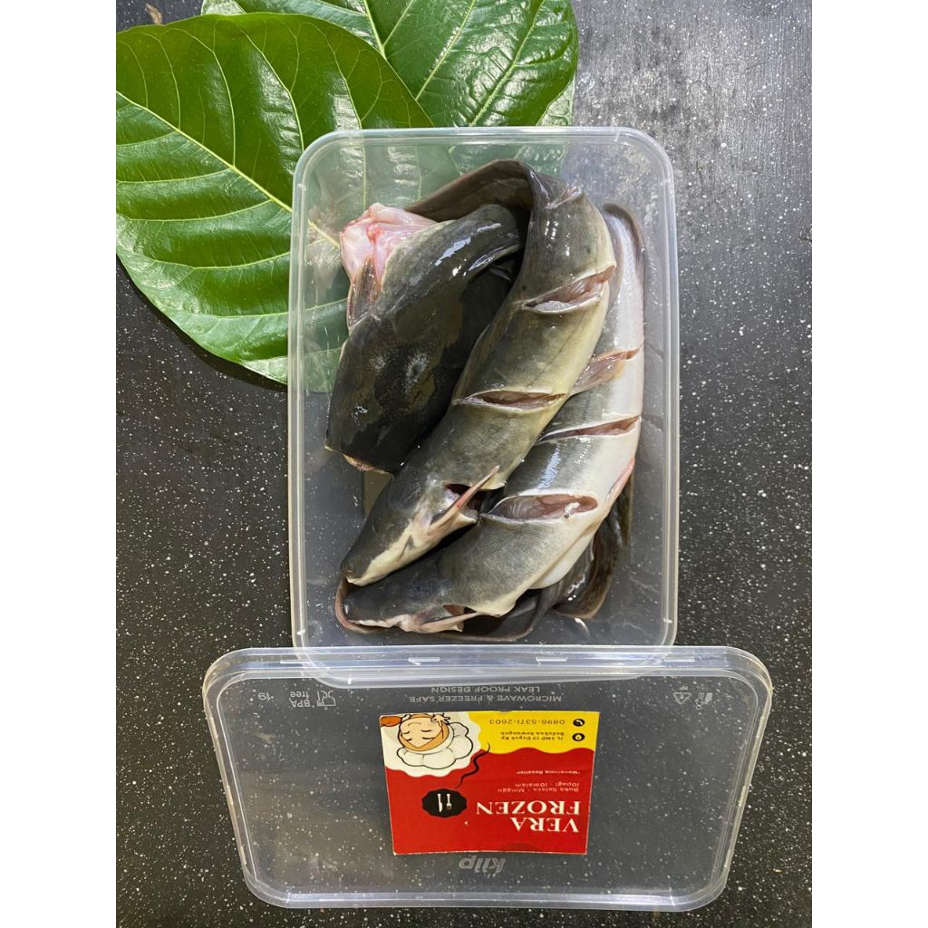 

LELE BERSIH TANPA BUMBU 4 EKOR