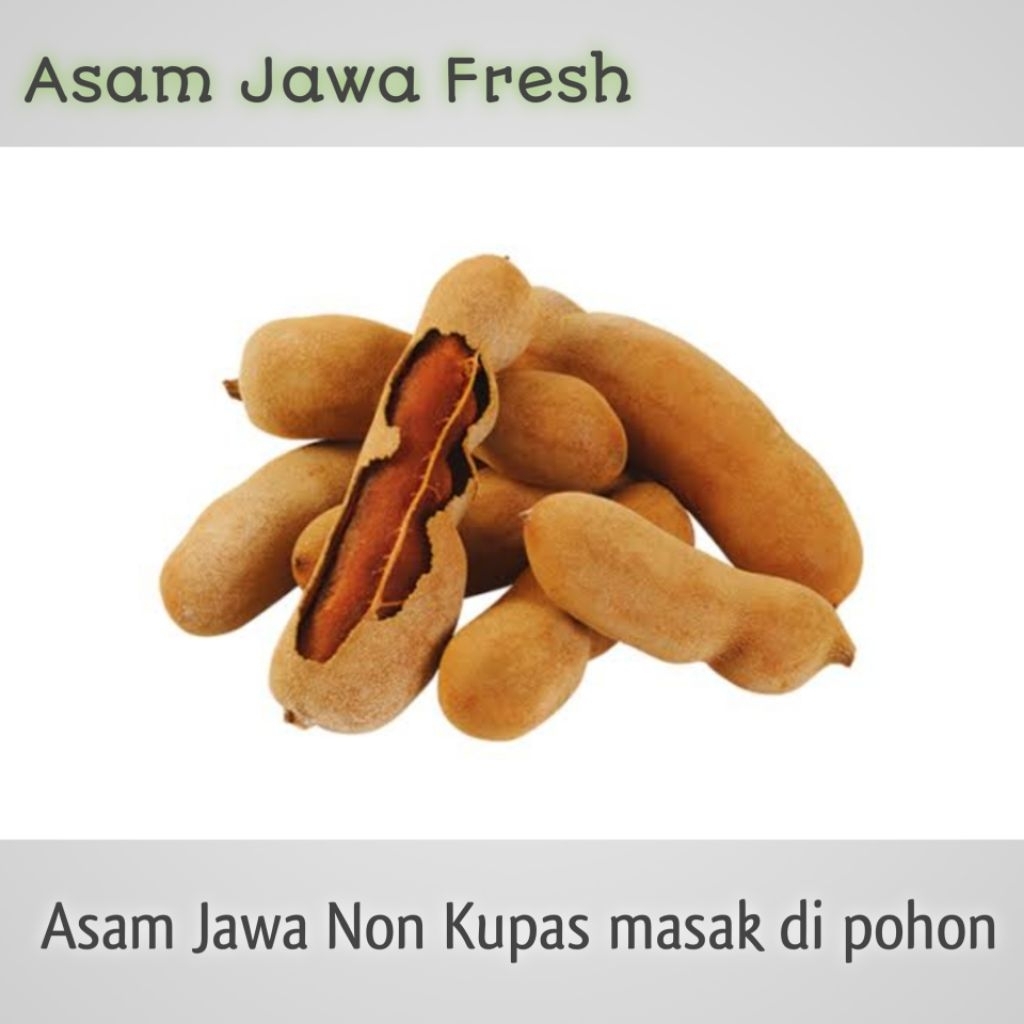 

asam Jawa Kulit | non kupas fresh masak di pohon 1kg