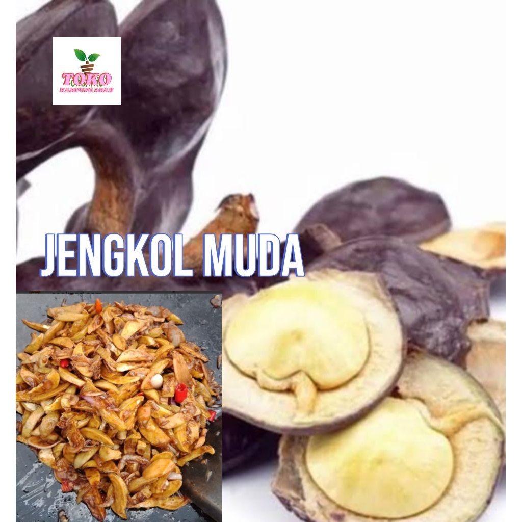 

jengkol muda 1 kg tanfa di kupas