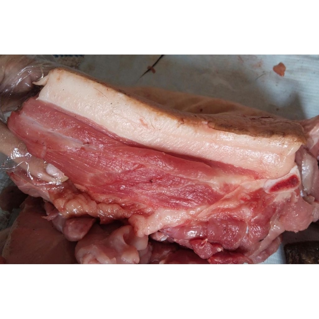 

Daging + Lemak B2 hutan - 1 kg