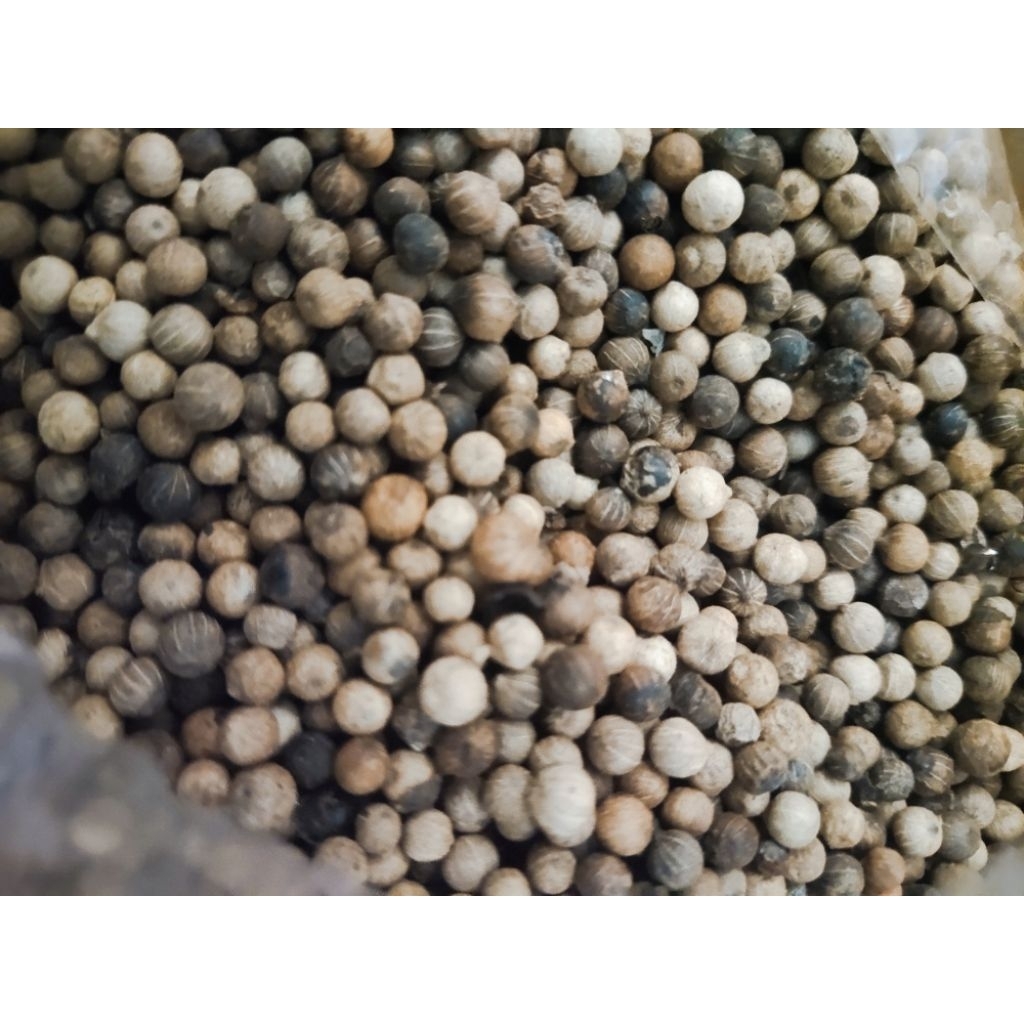 

MERICA UTUH CAMPUR 100gr