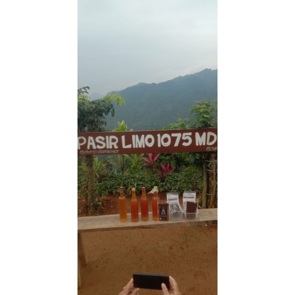 

Maduaslihutanoriginal