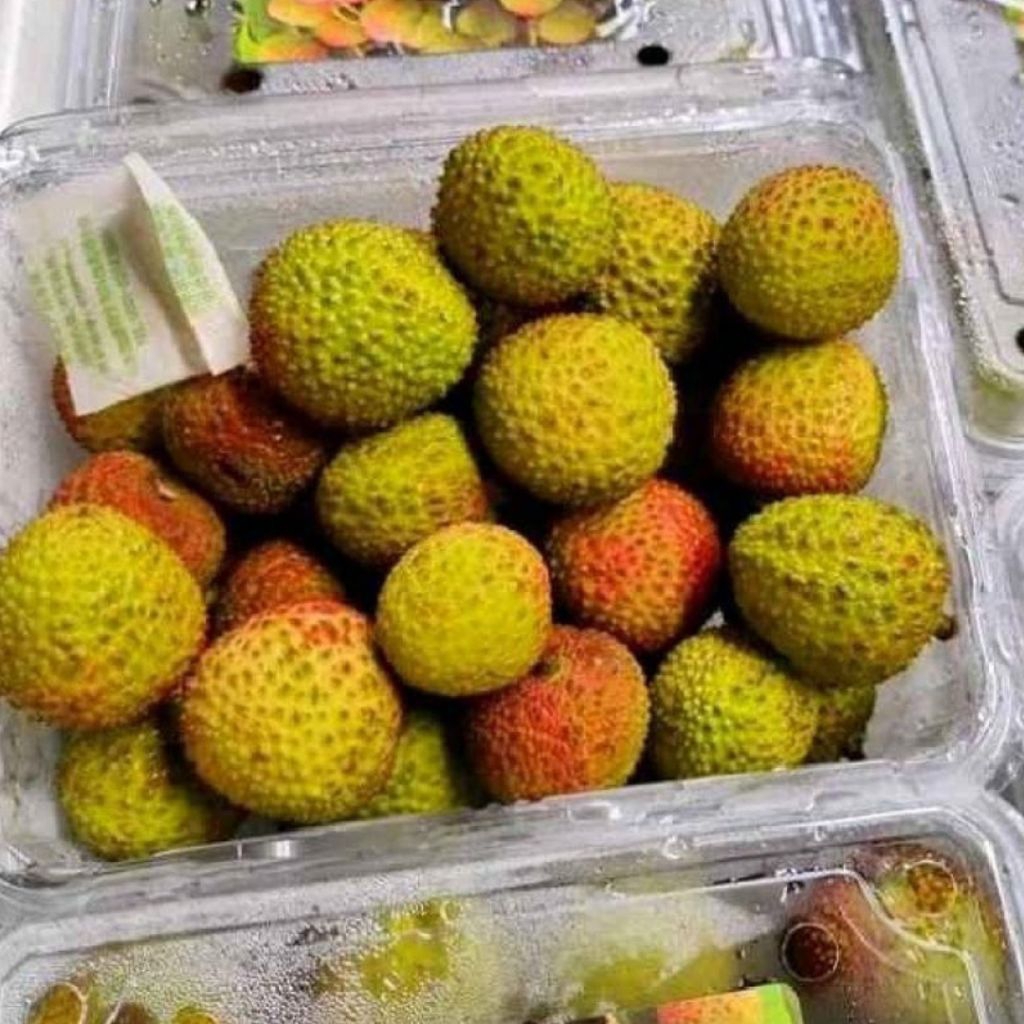 

Leci madu murah dan segar/fresh