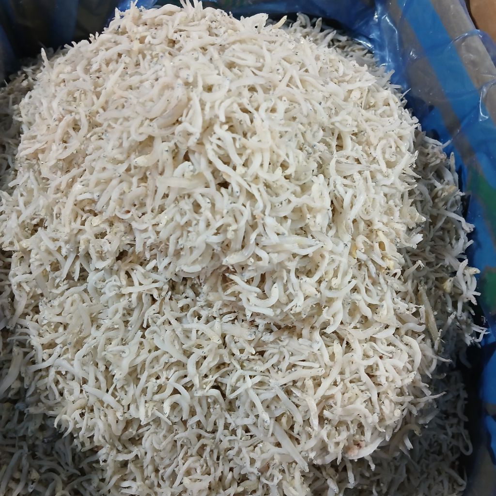 

IKAN ASIN TERI NASI MEDAN 500GRAM