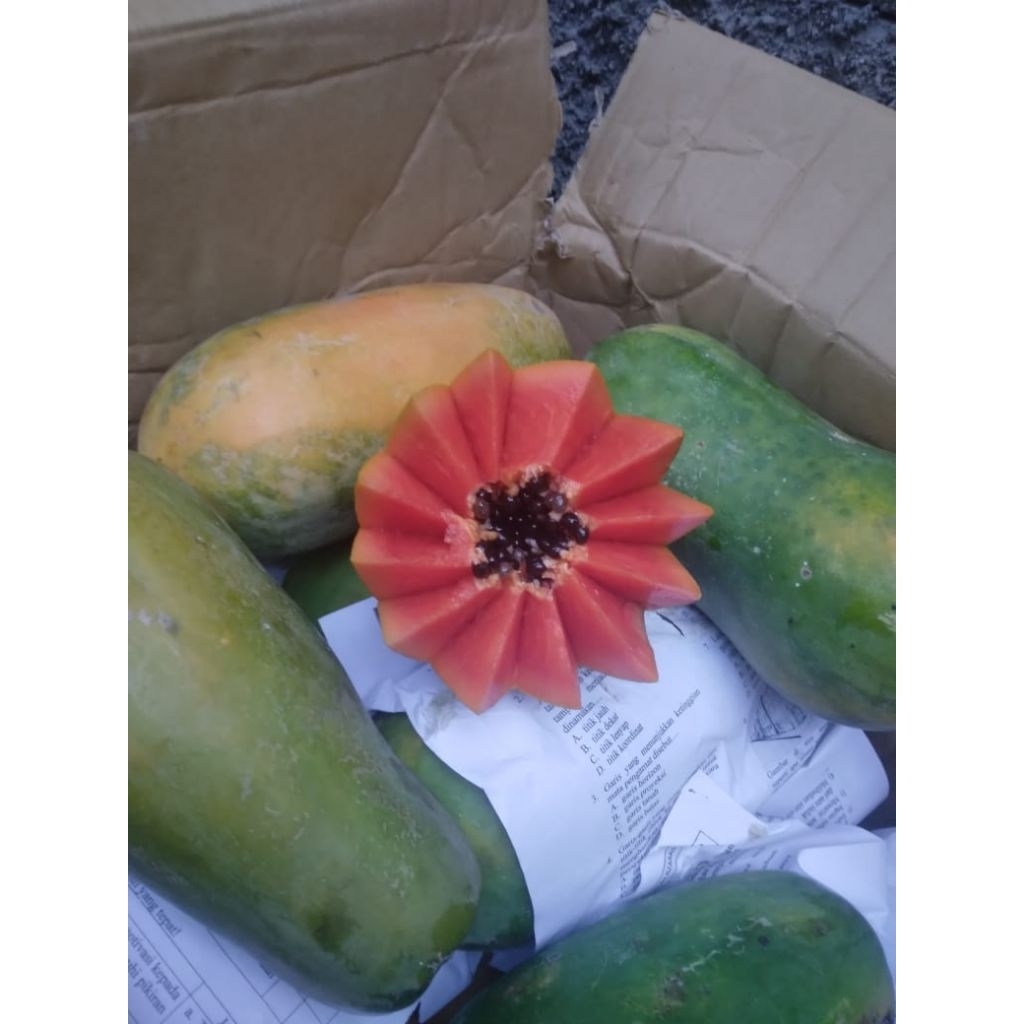 

pepaya california matang alami tanpa karbit/kg
