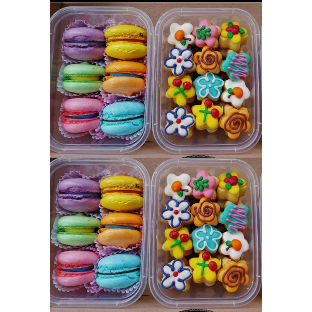 

PROMO MURAH cookies lukis dan macaron