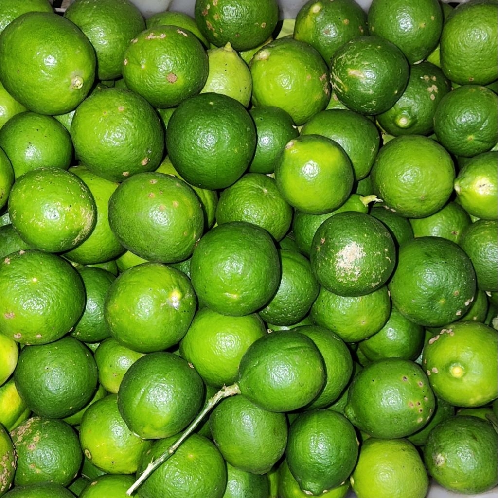 

Jeruk Nipis/Jeruk Pecel 500 gr - 2 kg