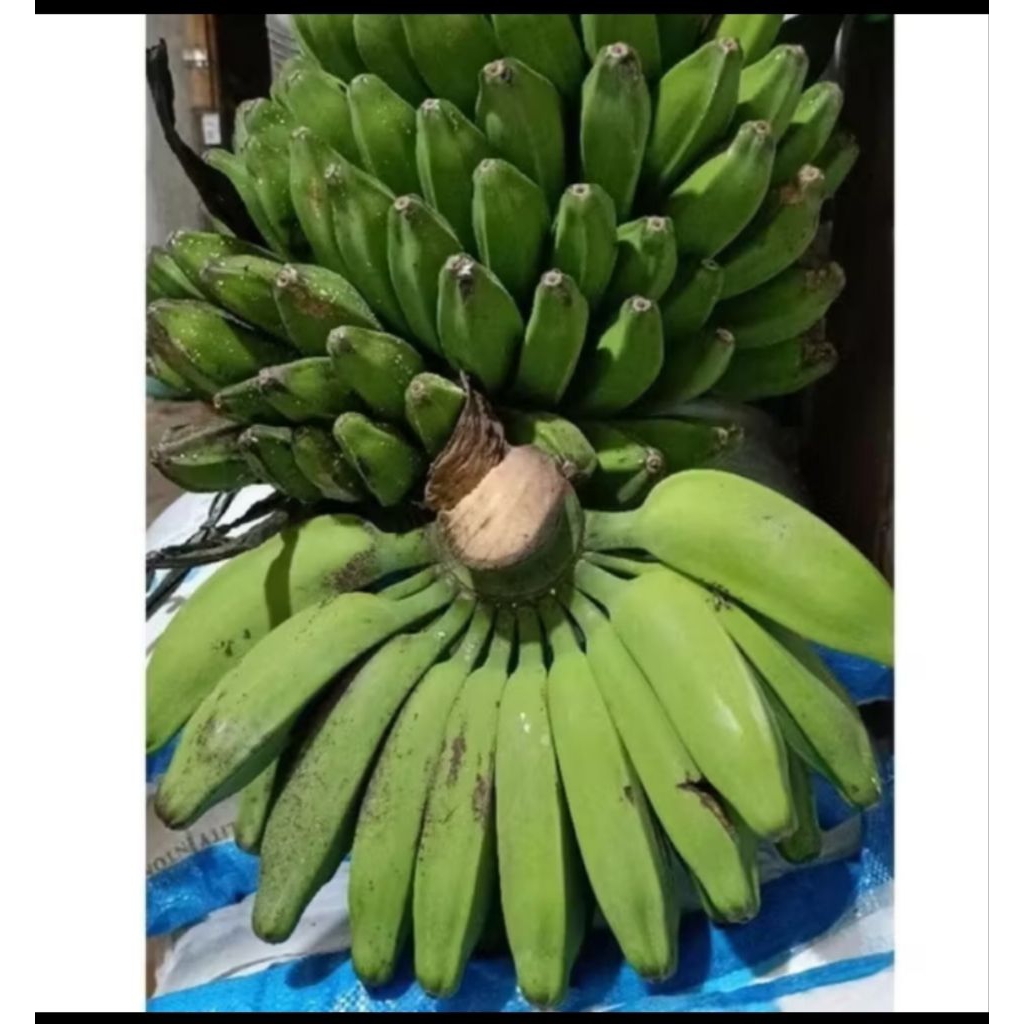 

Pisang KEPOK PUTIH Seger Per sisir