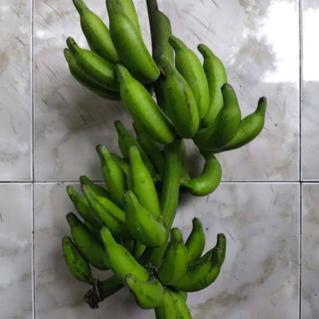 

pisang rejang murah per 1 kg pisang pale segar