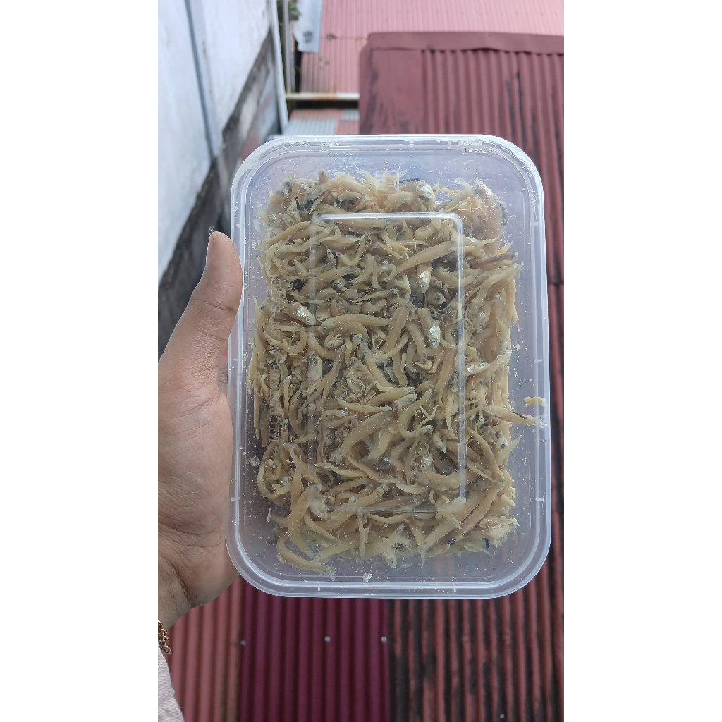 

TERI NASI MEDAN KERING ASIN / TERI MEDAN ASIN 200 GR (TANPA PENGAWET)