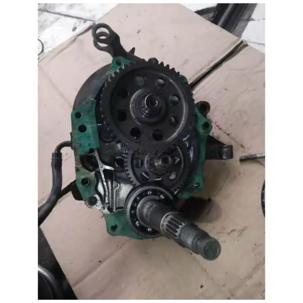 Gigi rasio beat karbu scoopy karbu gardan beat karbu