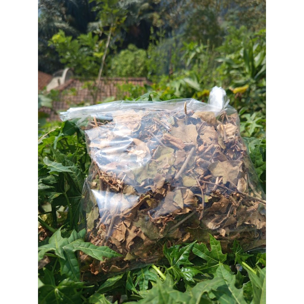 

Benalu jeruk nipis kering per(500gram)