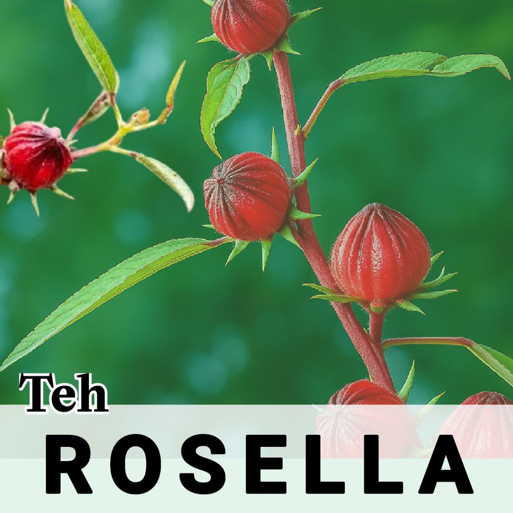 

Rosella Tea, Teh Bunga Rosella 100% organik