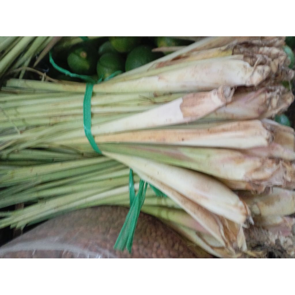 

SERE SEREH SEREI bumbu segar per ikat