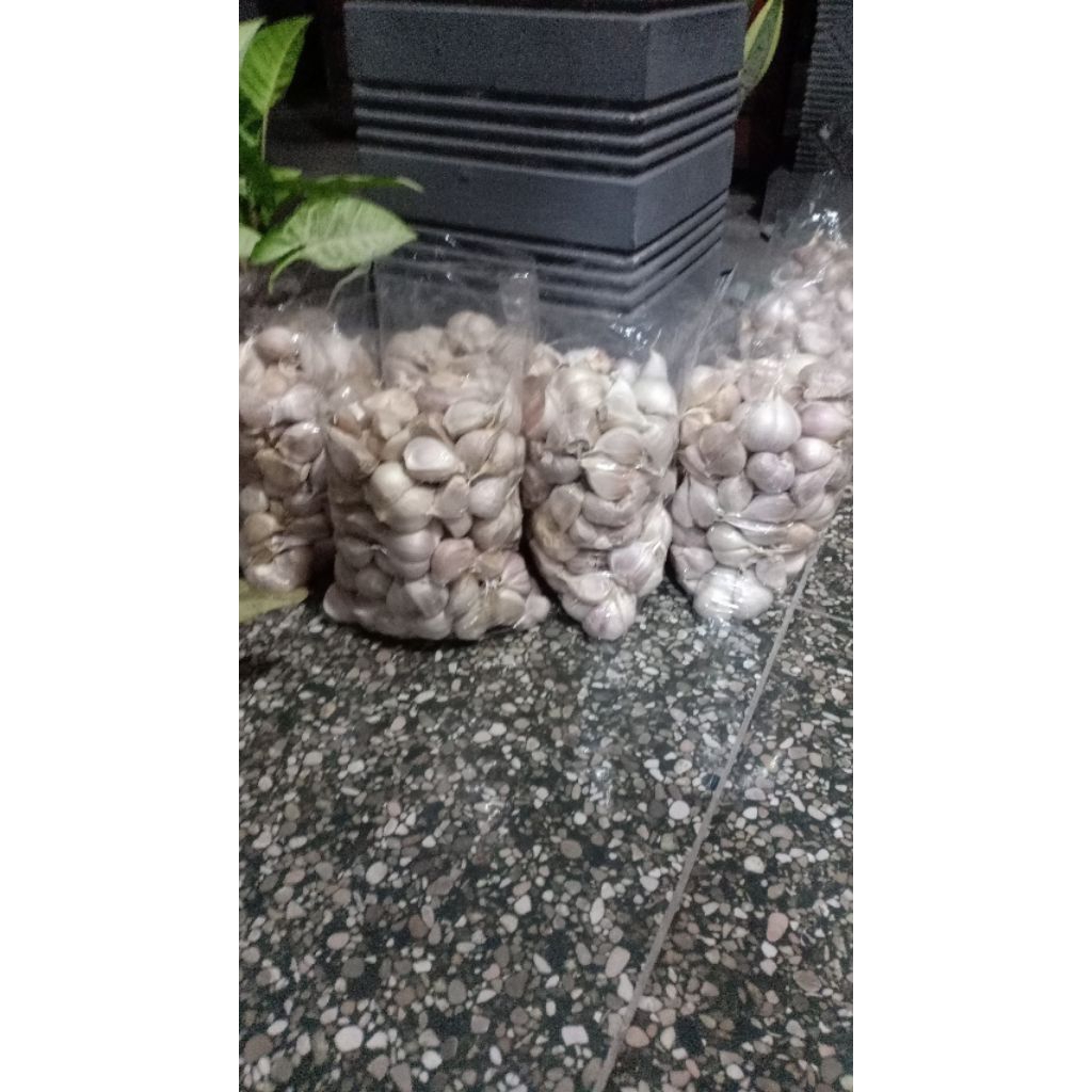 

Bawang Putih Kating 1 kg