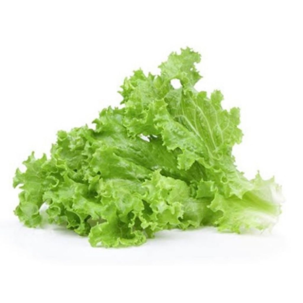 

Selada Selada keriting segar 250gr